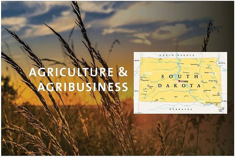 south dakota agriculture business development