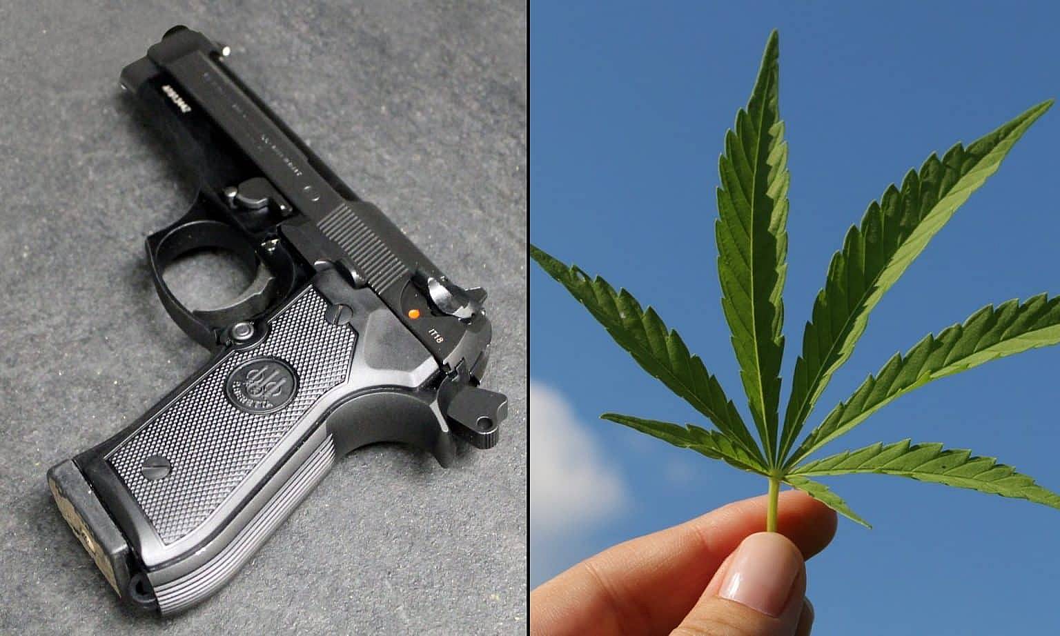 medical marijuana and gun ownership