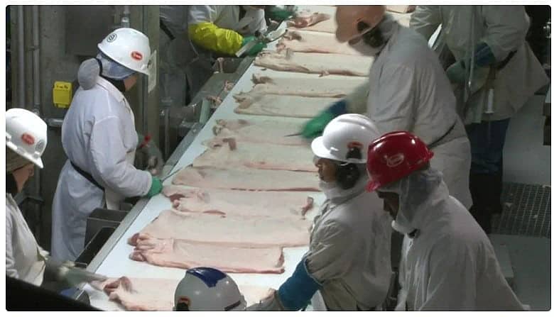 Tyson Foods pork processing plant.