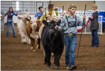 South Dakota State Fair Livestock Shows