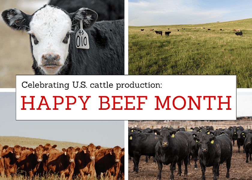 May is Beef Month