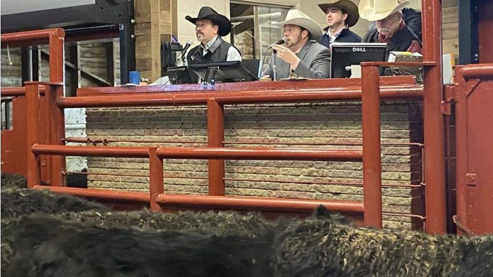Auctioneers at livestock auction market.
