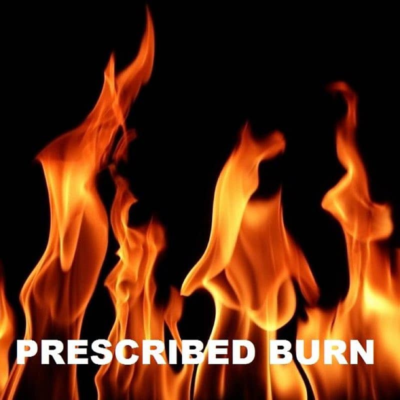 Prescribed-Burn-Graphic-1
