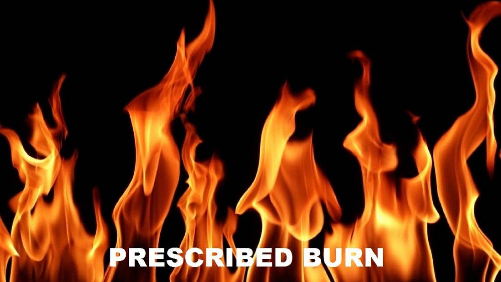 Prescribed-Burn-Graphic-1