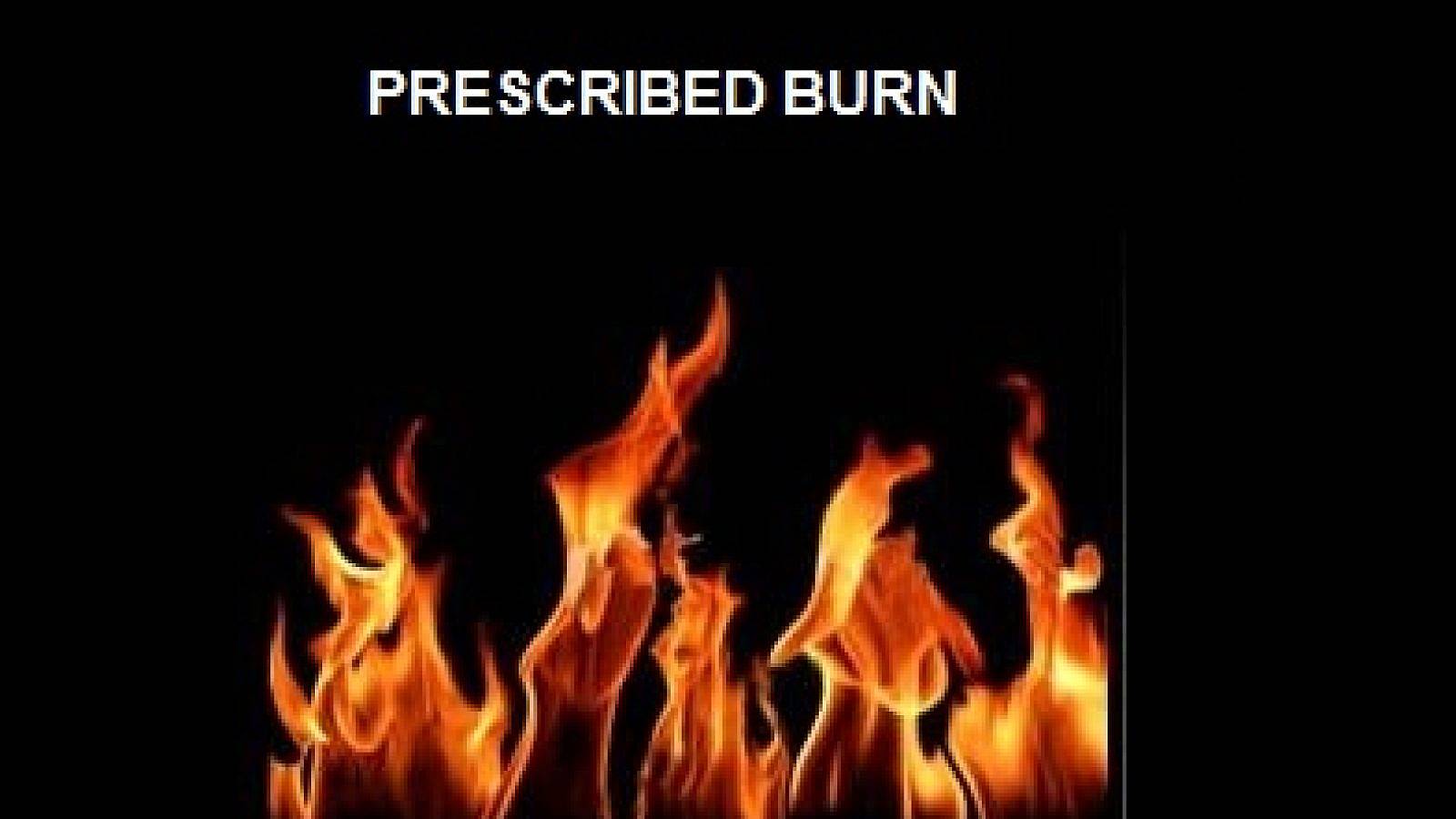 Prescribed Burn