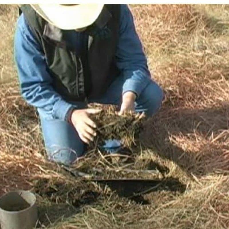A rancher tests for soil health.