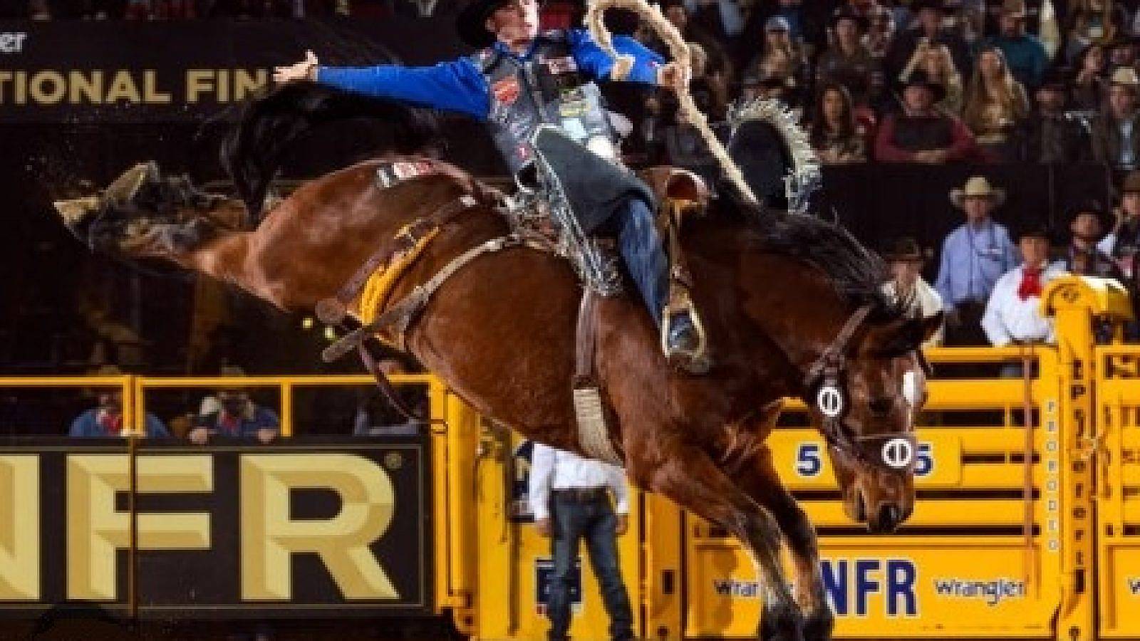 cowboy on bucking bronc in rodeo arena