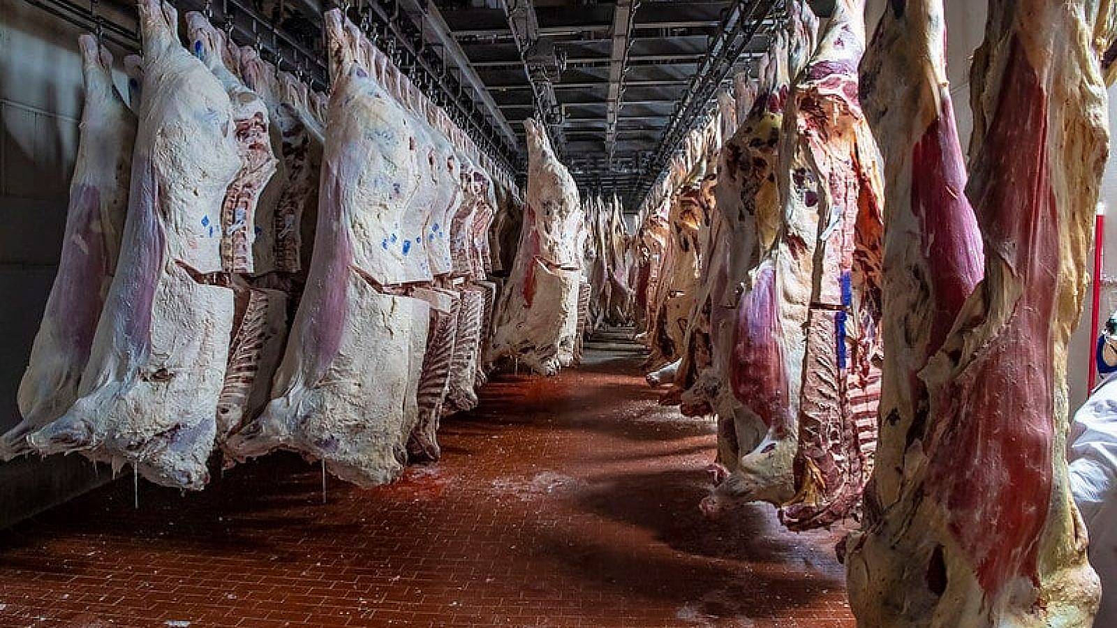 beef pork processing WASDE ending stocks