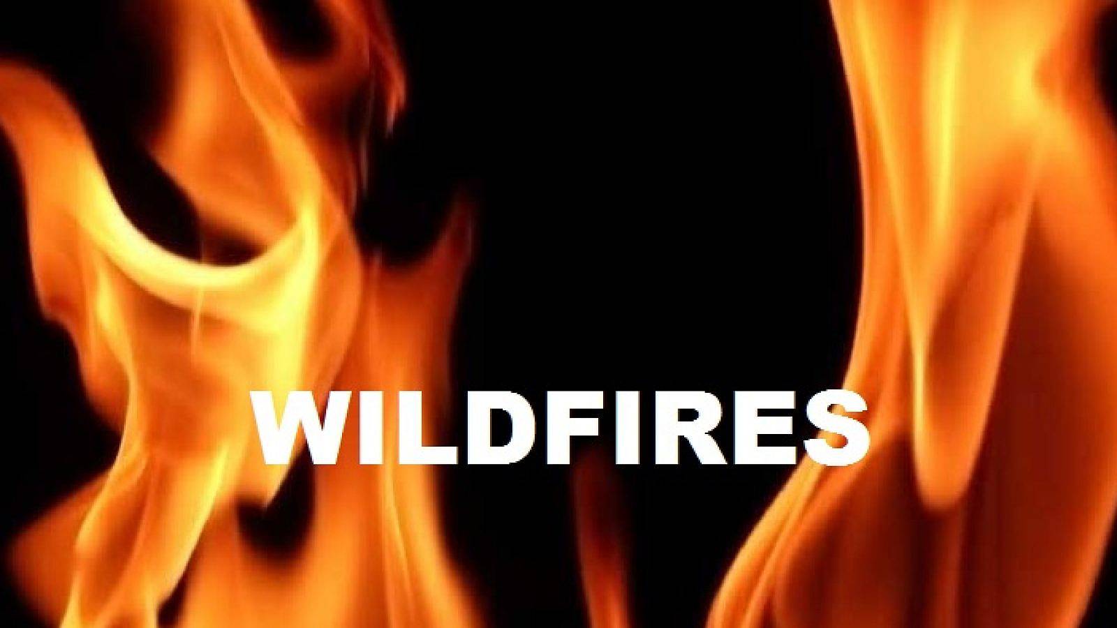 Wildfires-Graphic_0726-1