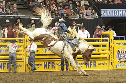professional rodeo cowboy riding a saddle bronc