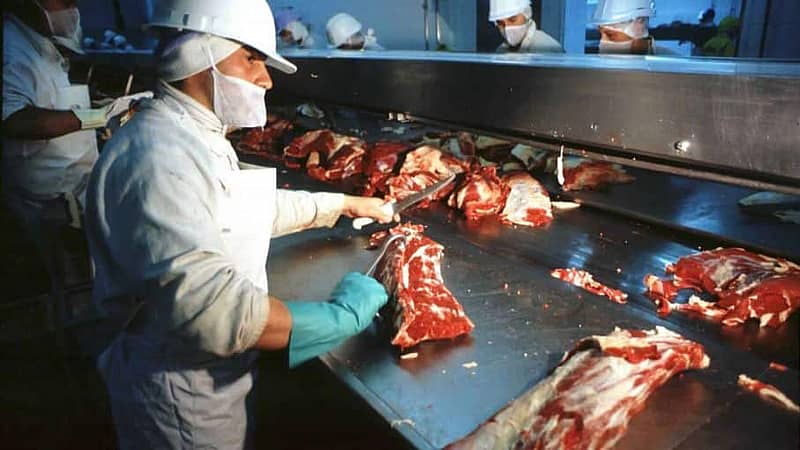 meat processing plant paraguayn beef imports