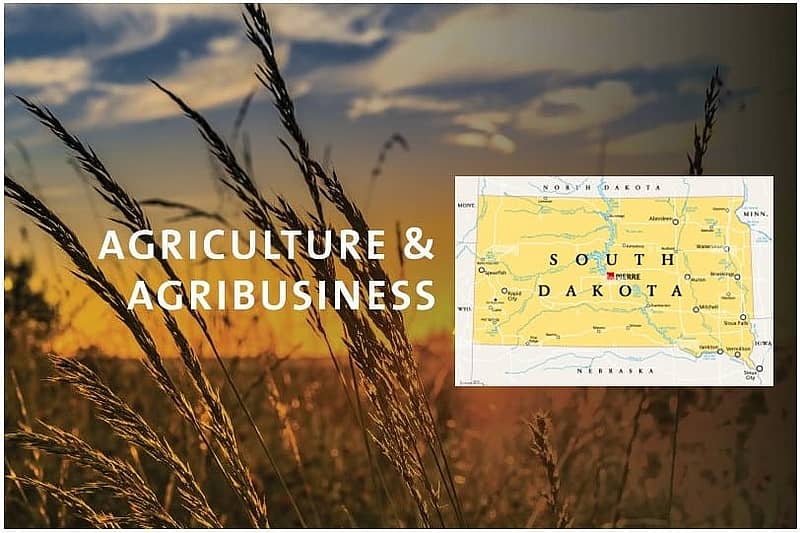 south dakota agriculture business development