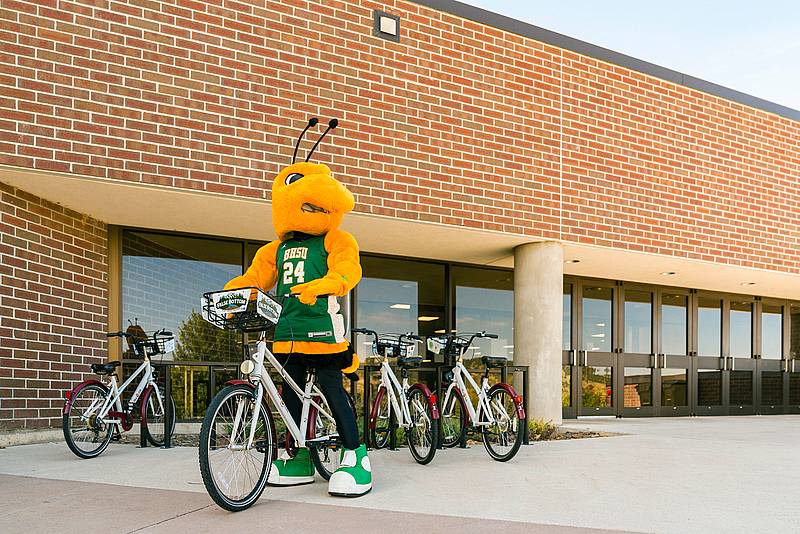 Bicycle rental service deals near me