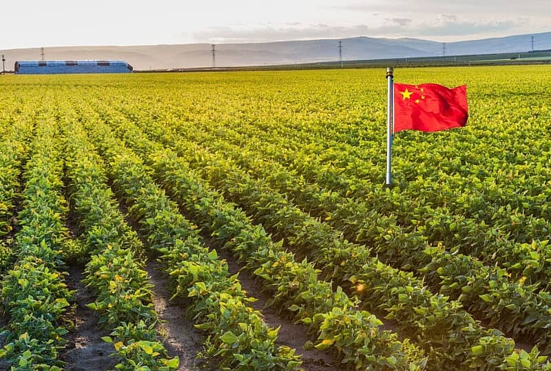 chinese flag in farm field