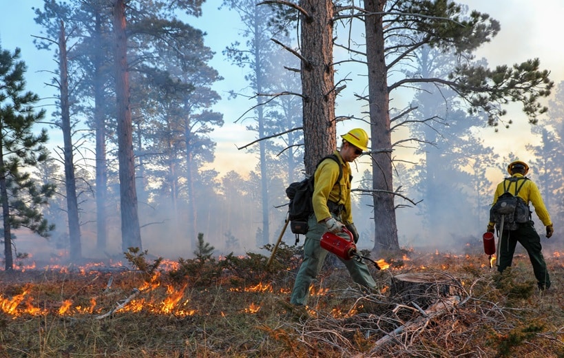 Prescribed Burn Custer