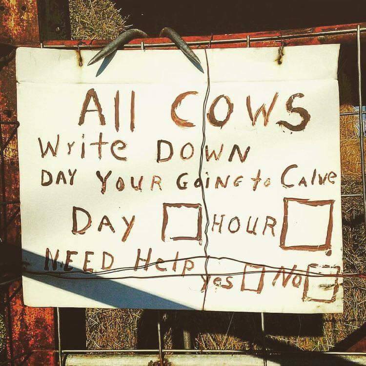 Sign About Cows and Calves