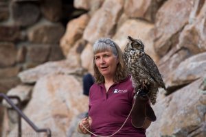 Educators teach about birds of prey.