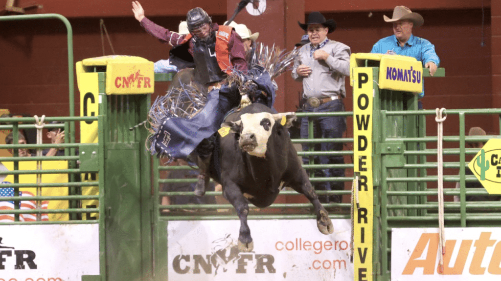 Rodeo cowboy riding a bucking bull.