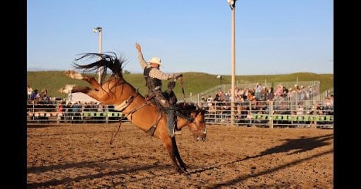 Bucking horse at a rodeo