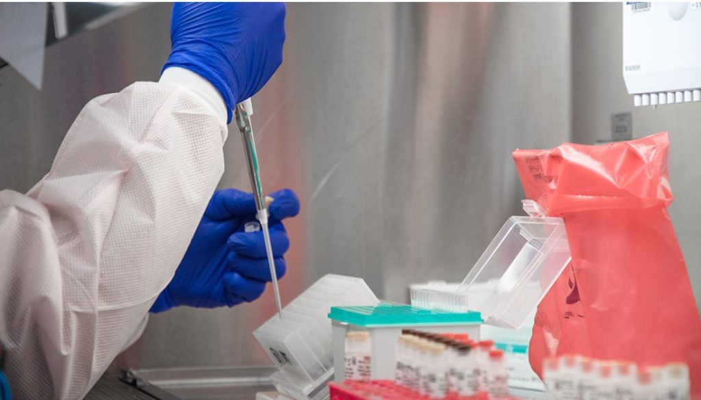 Technician taking samples in a veterinarian diagnostic laboratory.