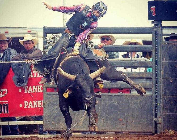 Cowboy riding a bucking bull