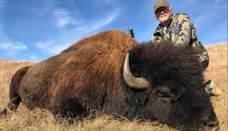 A hunter with a dead buffalo