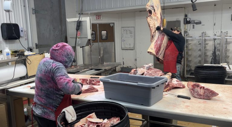 Workers in a meat processing plant