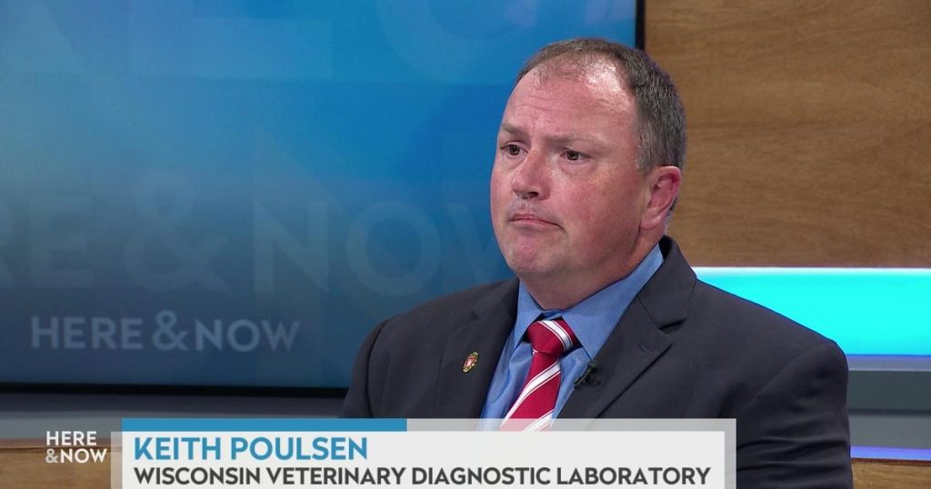 Dr. Keith Poulsen talks about H5N1 outbreak