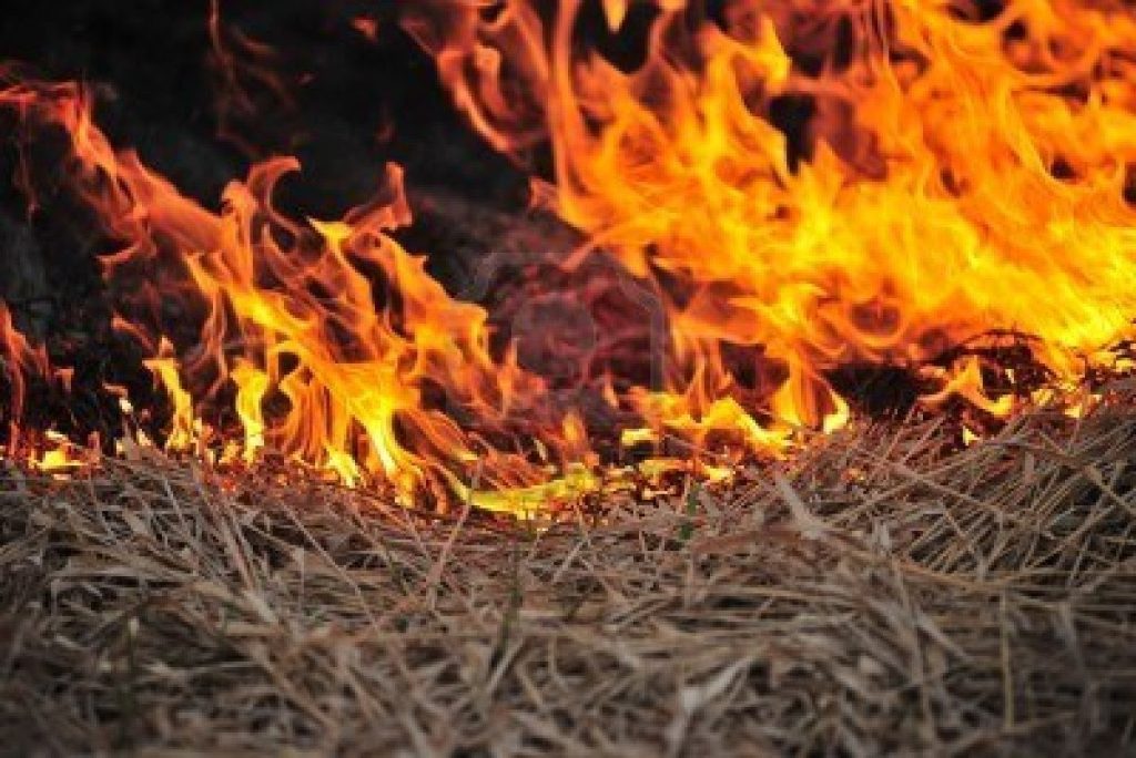 A grass fire breaks out