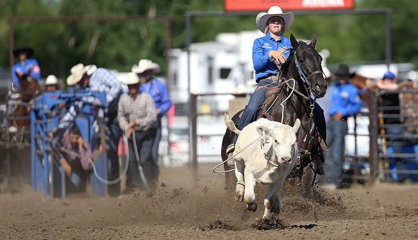 A cowgirl roping a calf at a rodeo.