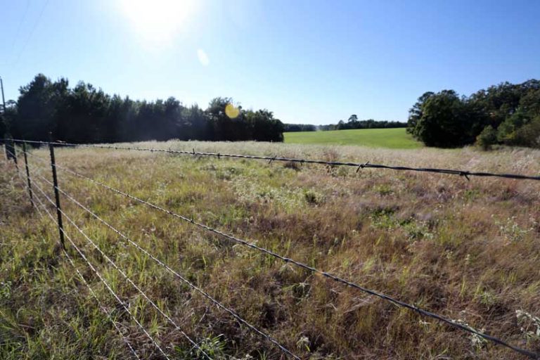 A picture of agriculture land