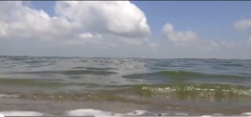 A lake on a windy day