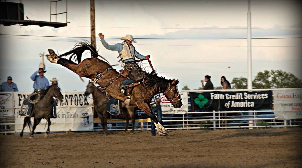 A cowboy riding a saddle bronc horse at a bronc match