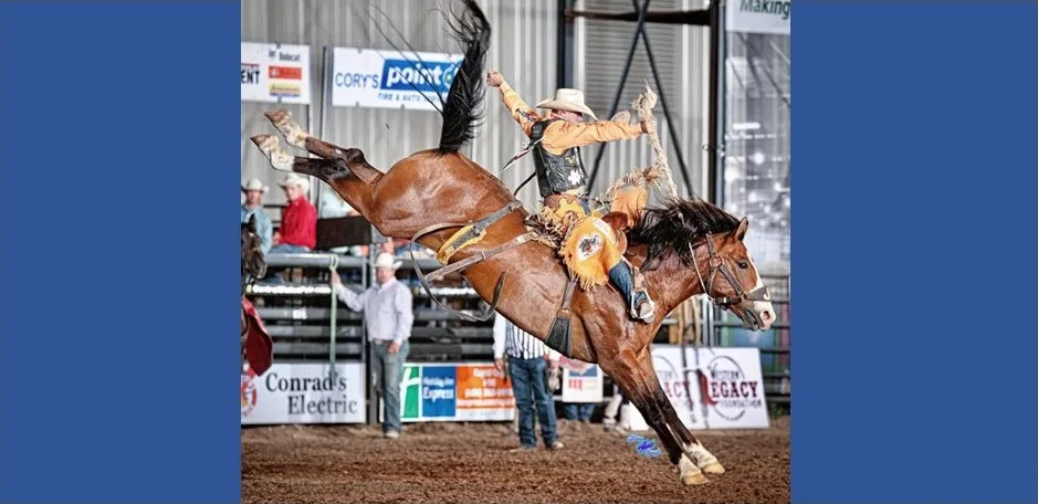 Cowboy riding bucking bronc.