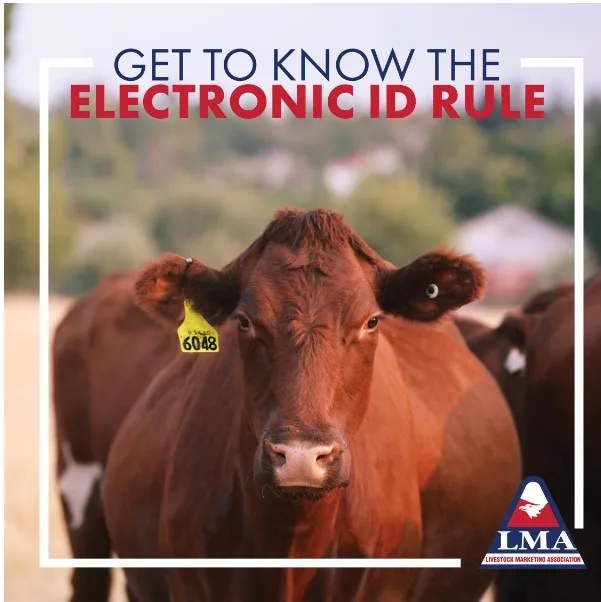 electronic identification eartag