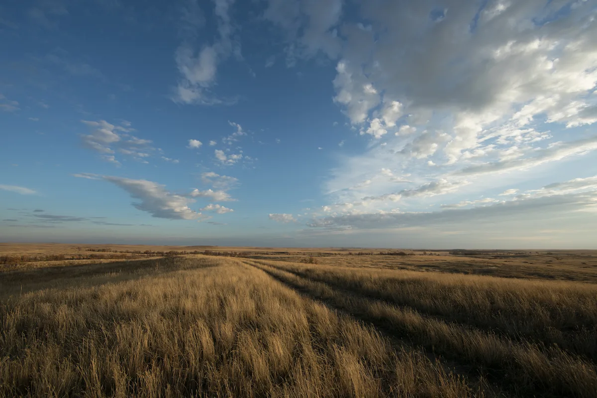 Grassland, conservation projects in South Dakota receive $83 million in ...