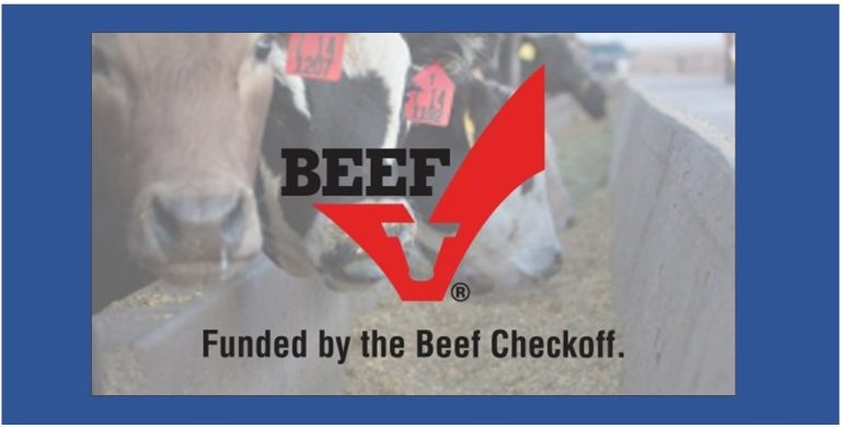 Beef Checkoff