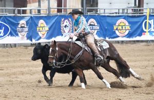 AQHA Winter Classic
