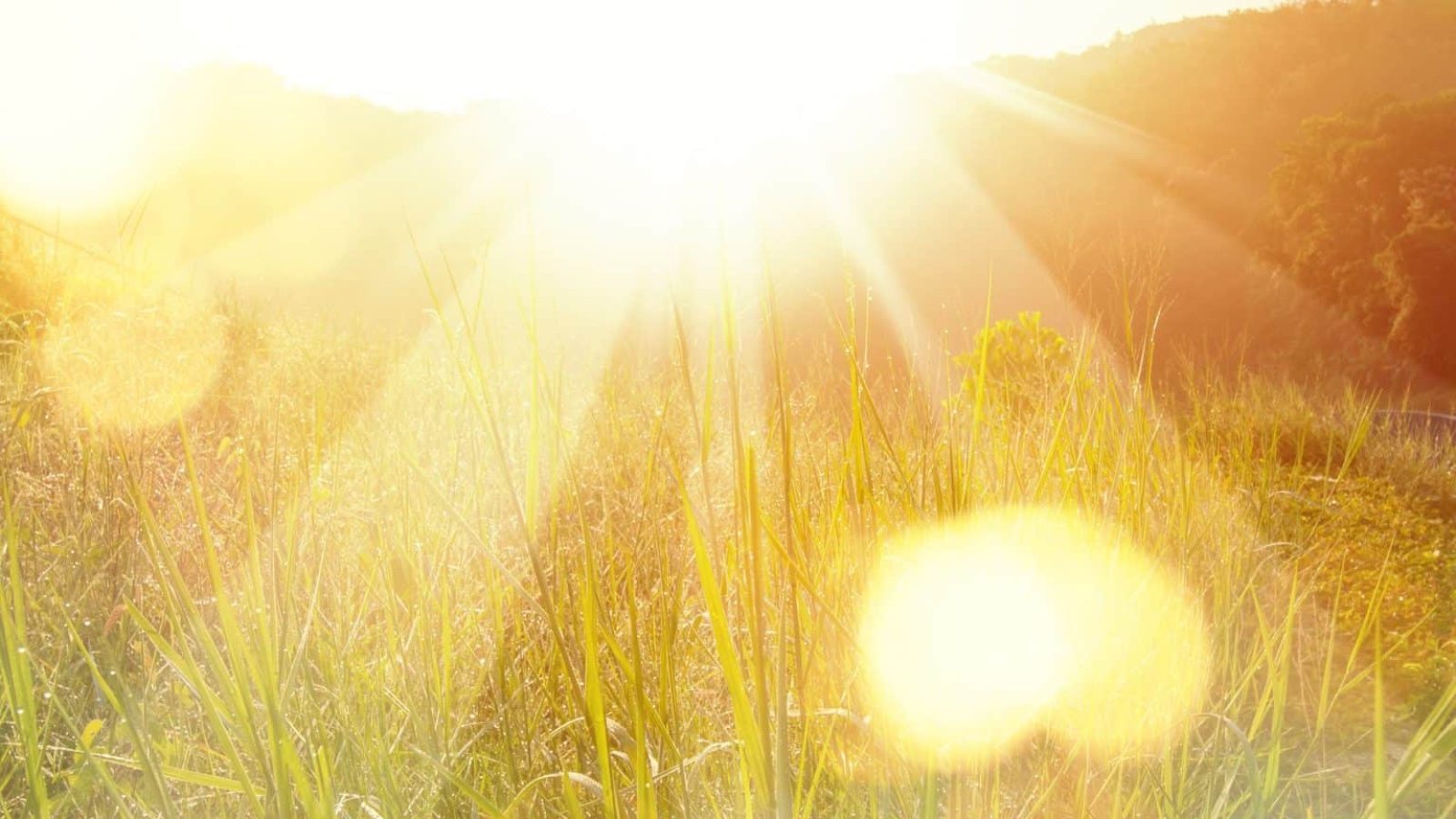 Beautiful sunrise in the mountain.
Meadow landscape refreshment with sunray and golden bokeh.